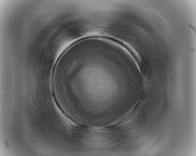 X0000096471295200802141649