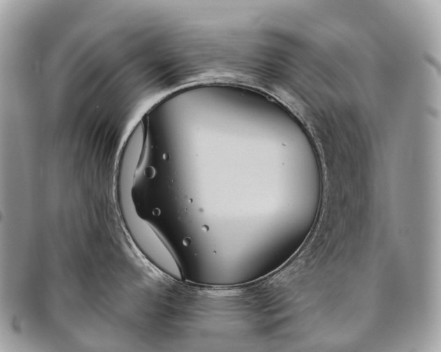 X0000096471296200802141649