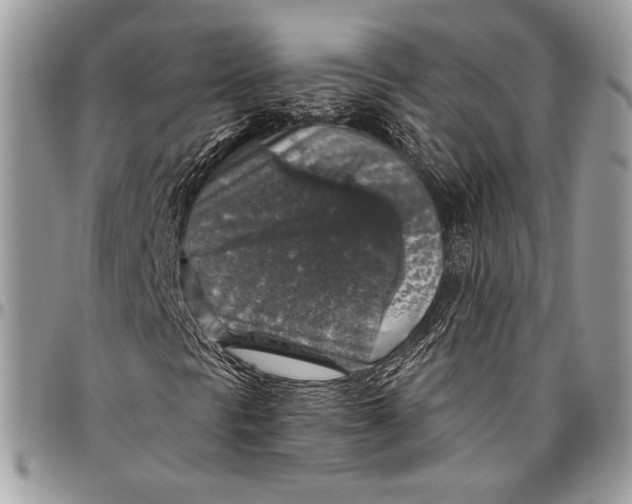 X0000096471297200802141648