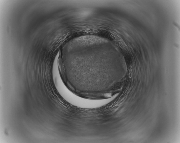 X0000096471298200802141648