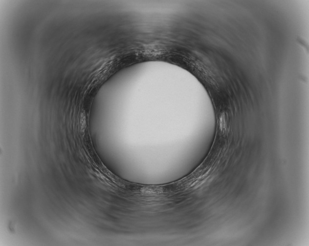 X0000096471299200802141648