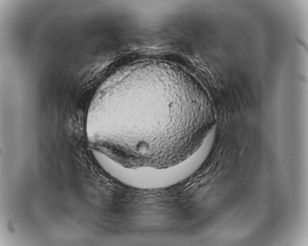 X0000096471301200802141648