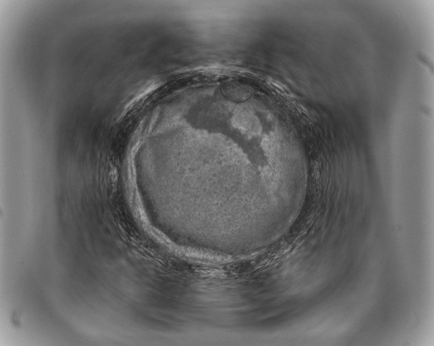 X0000096471302200802141648