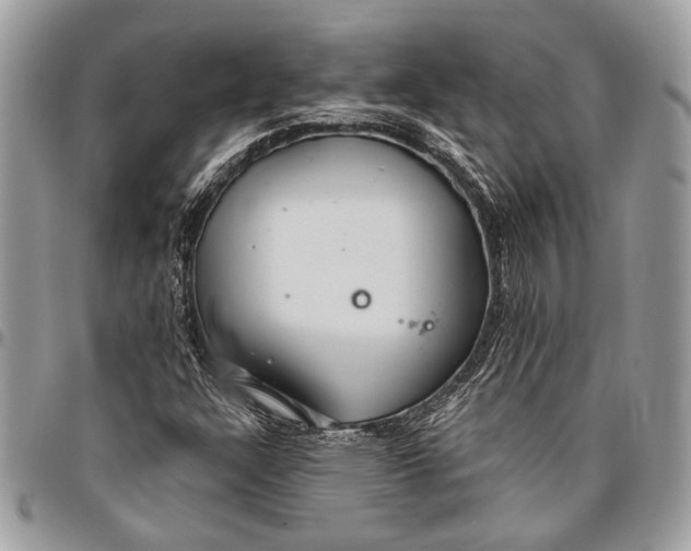 X0000096471304200802141648