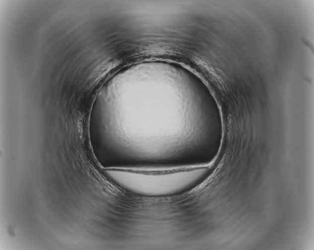 X0000096471305200802141648