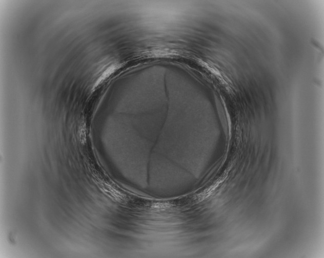 X0000096471306200802141648