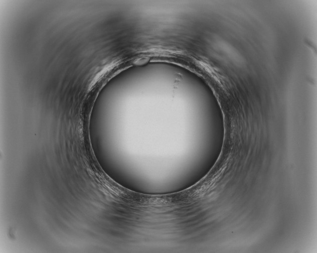 X0000096471307200802141648