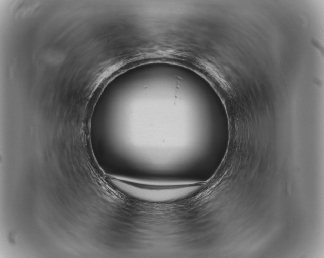 X0000096471308200802141648