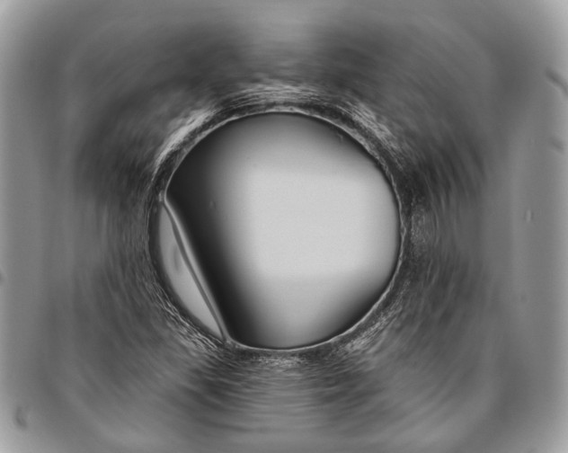 X0000096471309200802141648