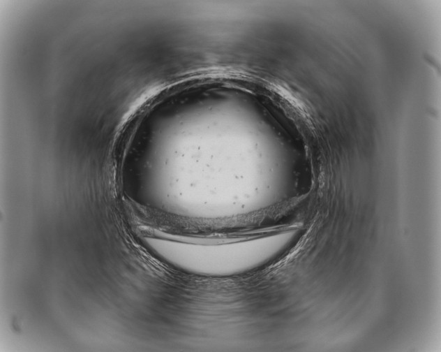 X0000096471310200802141648