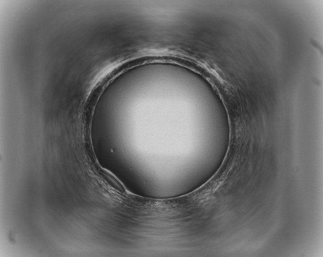 X0000096471311200802141648