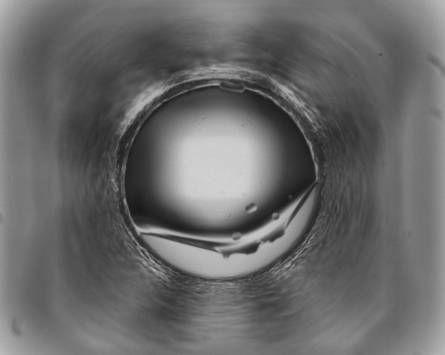 X0000096471312200802141648