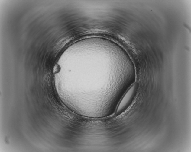 X0000096471313200802141648