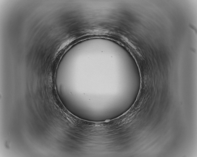 X0000096471315200802141648