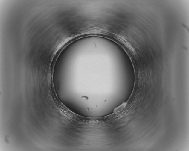 X0000096471316200802141648