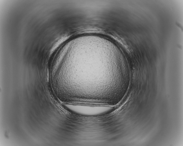 X0000096471317200802141648