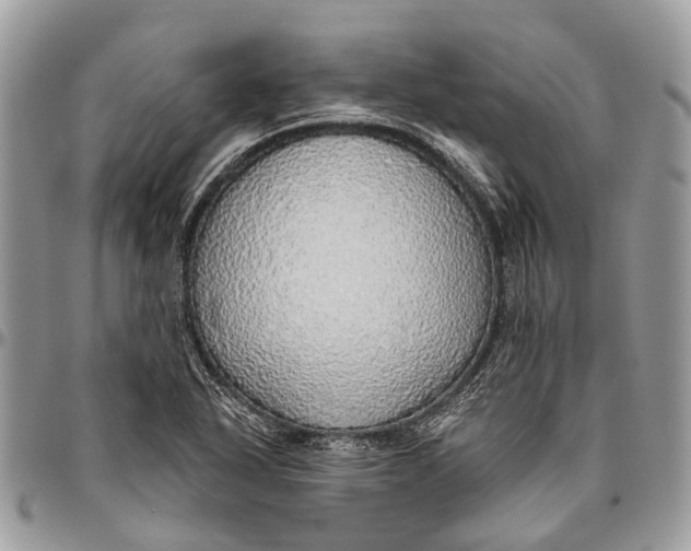 X0000096471318200802141649