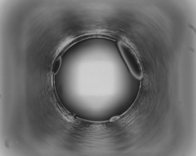 X0000096471320200802141649