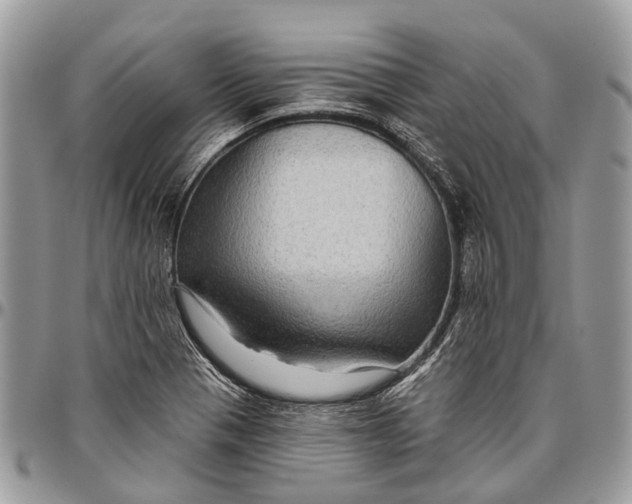 X0000096471321200802141649