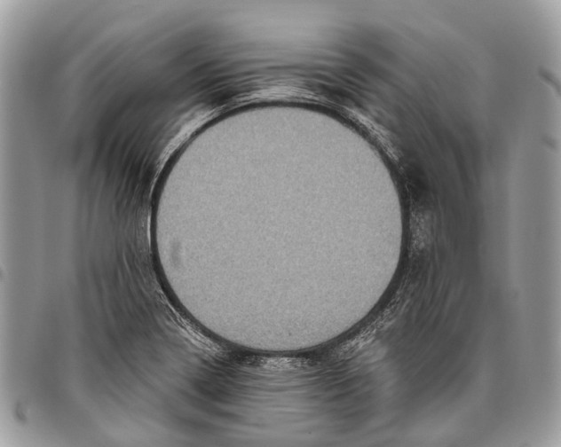 X0000096471322200802141649