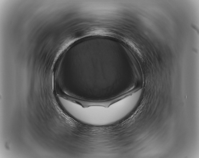 X0000096471323200802141649