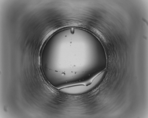 X0000096471324200802141649