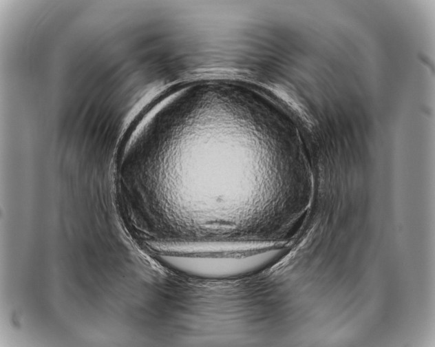 X0000096471325200802141649