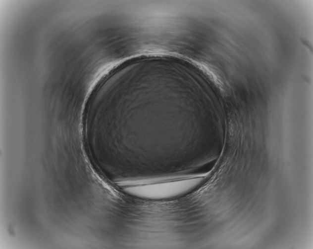 X0000096471327200802141649