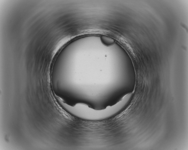 X0000096471328200802141649