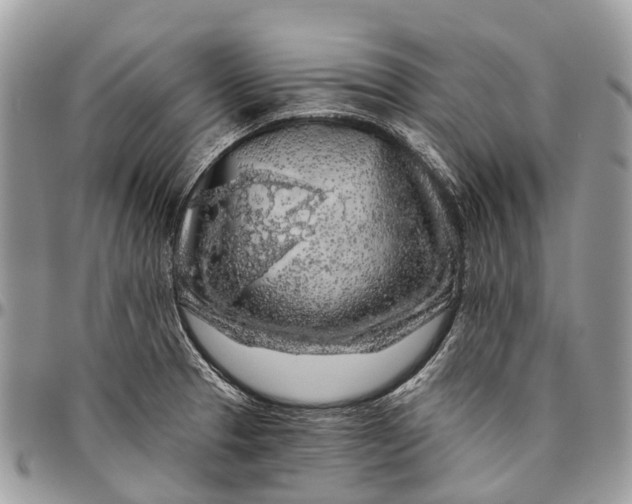 X0000096471329200802141649