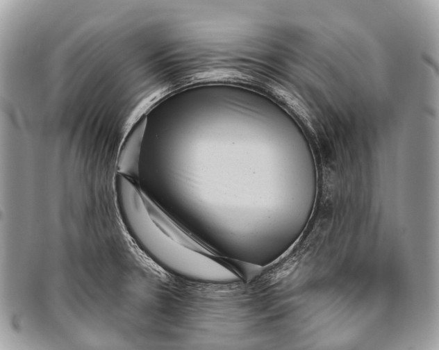 X0000096471330200802141649