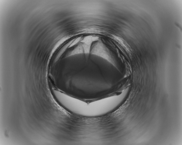 X0000096471331200802141649