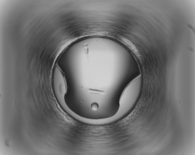 X0000096471332200802141649