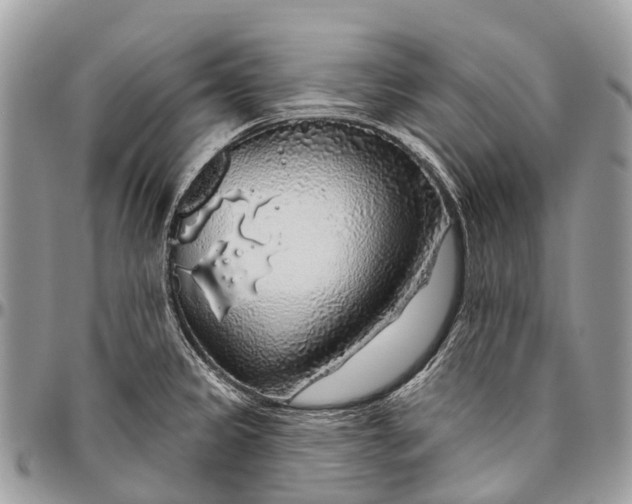 X0000096471333200802141649