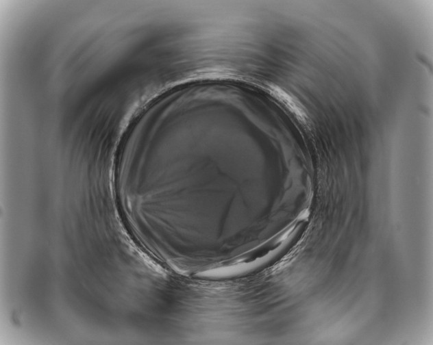 X0000096471334200802141649