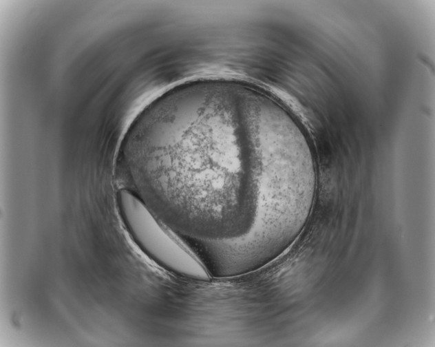 X0000096471335200802141649