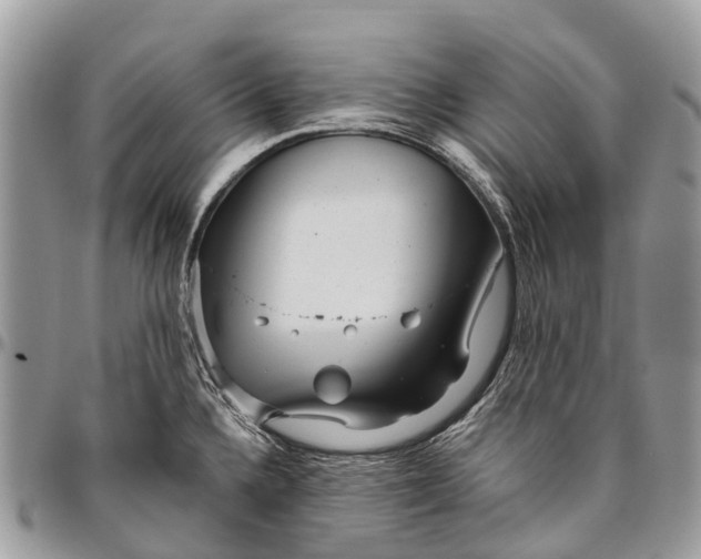 X0000096471336200802141649