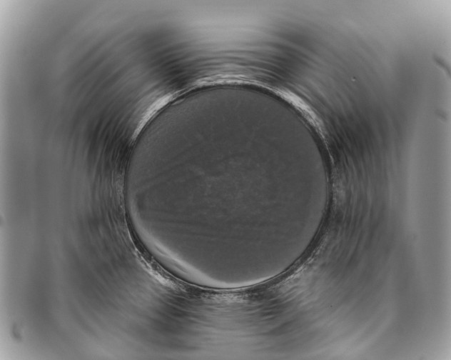 X0000096471337200802141649