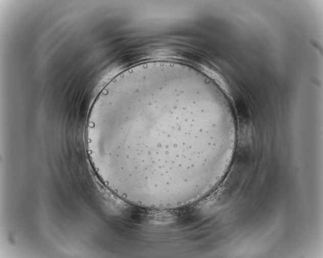 X0000096471338200802141649