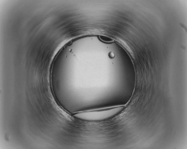 X0000096471339200802141649