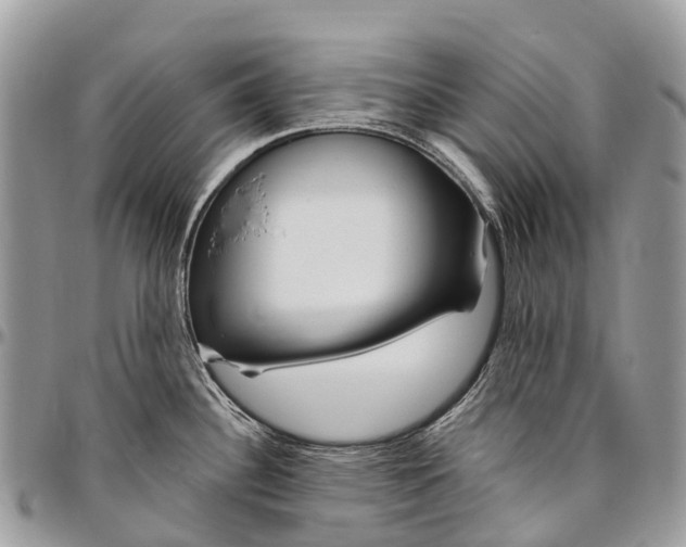 X0000096471340200802141649