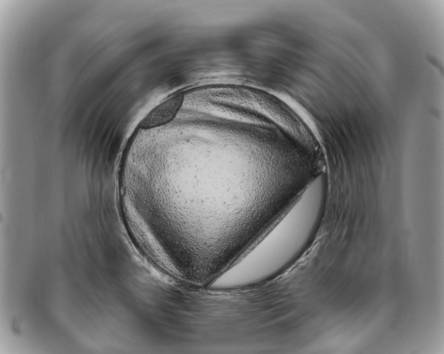 X0000096471341200802141649