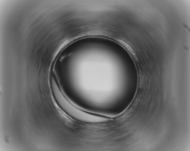 X0000096471342200802141649