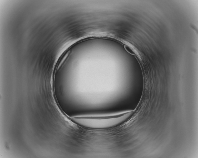 X0000096471343200802141649