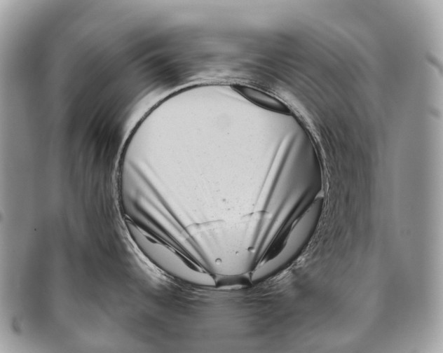 X0000096471344200802141649