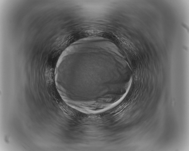 X0000096471346200802141648