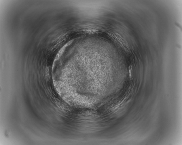 X0000096471347200802141648