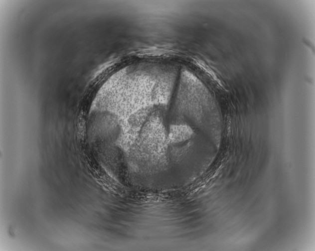 X0000096471350200802141648