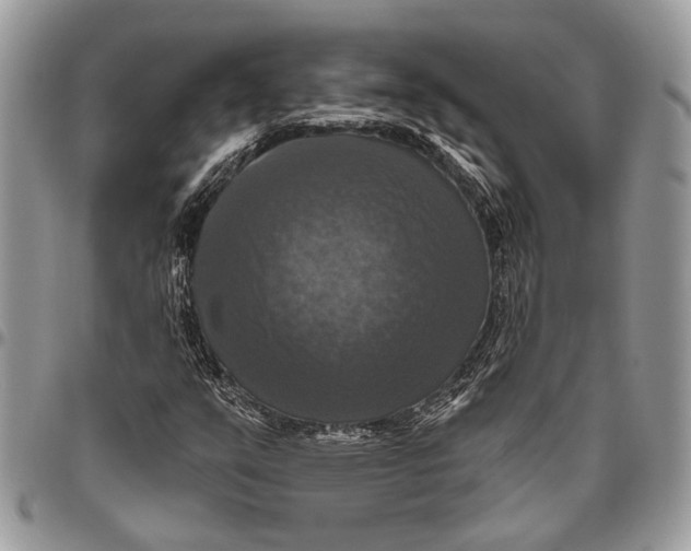 X0000096471351200802141648