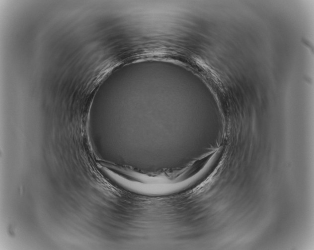 X0000096471353200802141648